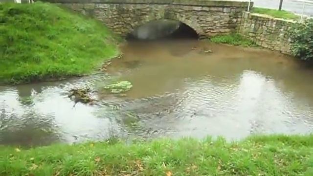 Жизнь в Германии. Каменц. Река Schwarzer Elster. смотреть онлайн