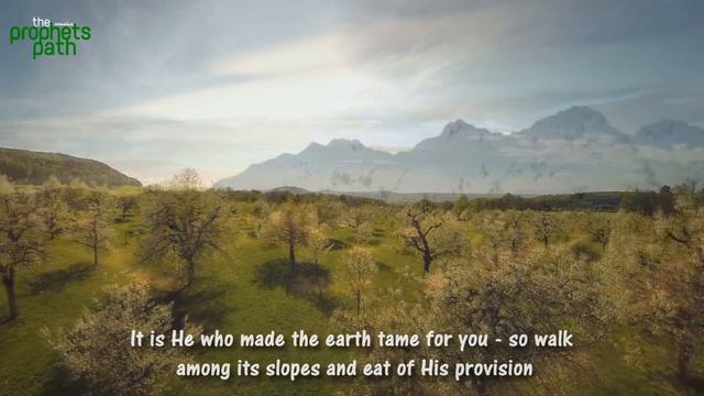 Surah Mulk - Calming Recitation смотреть онлайн