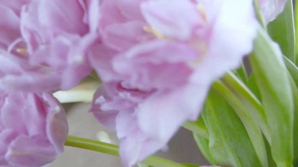 Блог о флористике Маши Кравченко / MashaKravchenko.com