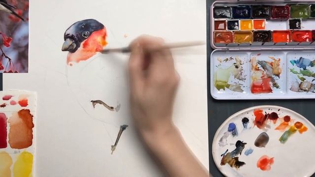 Учимся рисовать животных | Снегирь, белка, лиса акварелью | Уроки рисования от Каролины Бундаш смотреть онлайн