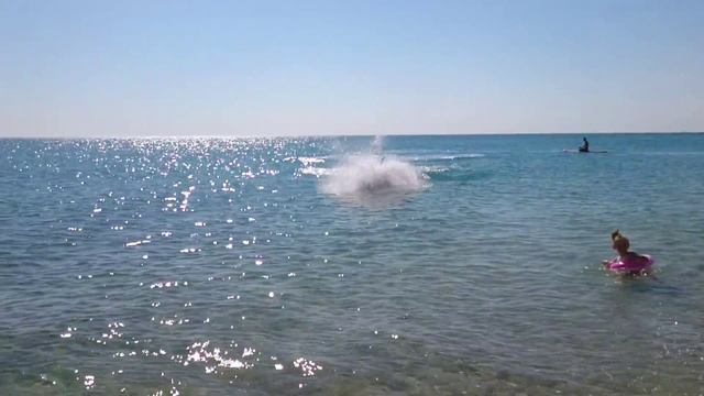 Дельфины ловят рыбу на берегу смотреть онлайн