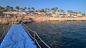 Шарм Эль Шейх.  Grand Oasis Resort 4*  Обзор отеля