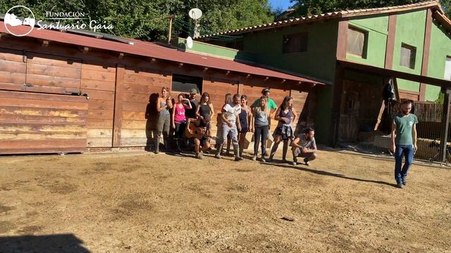 Celebrando el primer cumpleaños de Savi смотреть онлайн
