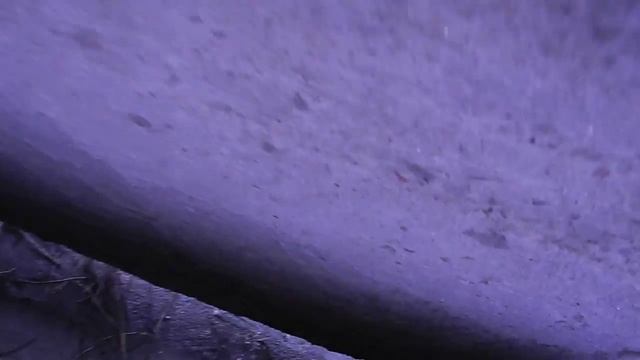 Голуби несут яйца прямо на балконе смотреть онлайн