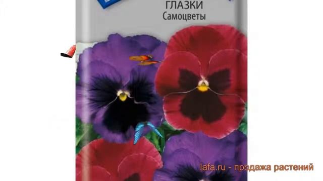 Анютины глазки обыкновенная Самоцветы ? обзор: как сажать, семена анютины глазки Самоцветы смотреть онлайн