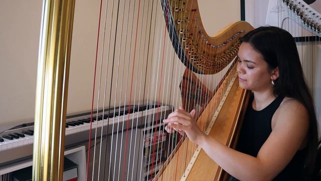 Send Me On My Way - Rusted Root (Harp Cover) смотреть онлайн