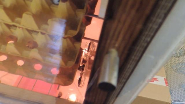 Самодельный инкубатор ? из 90-х на 120 яиц в работе (после реставрации), ч. 2 смотреть онлайн