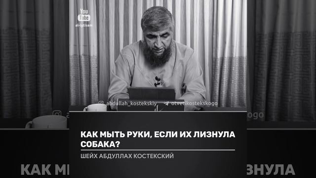 как мыть руки если их лизнула собака?