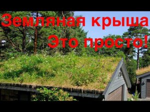 Зеленая кровля, земляная крыша, дом с зеленой крышей