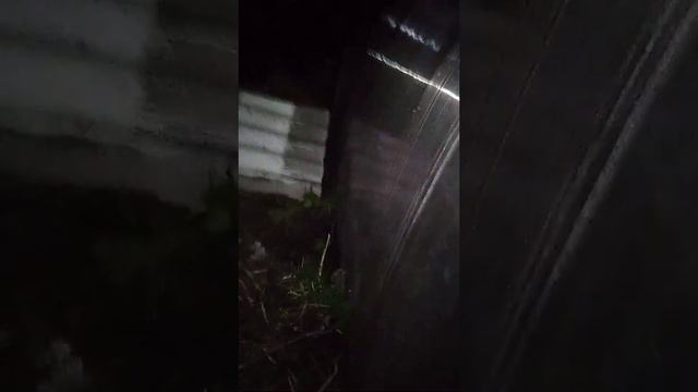 Играем в прятки ночью очень штрашно и для развлекает очень много (2) смотреть онлайн