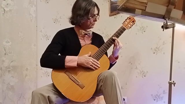 Шедевры гитарной соло классической музыки. Guitar Classic Performance Pieces.Ролик# (29.01.24).