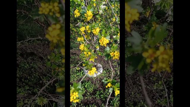 Апрель 2024г смотреть онлайн