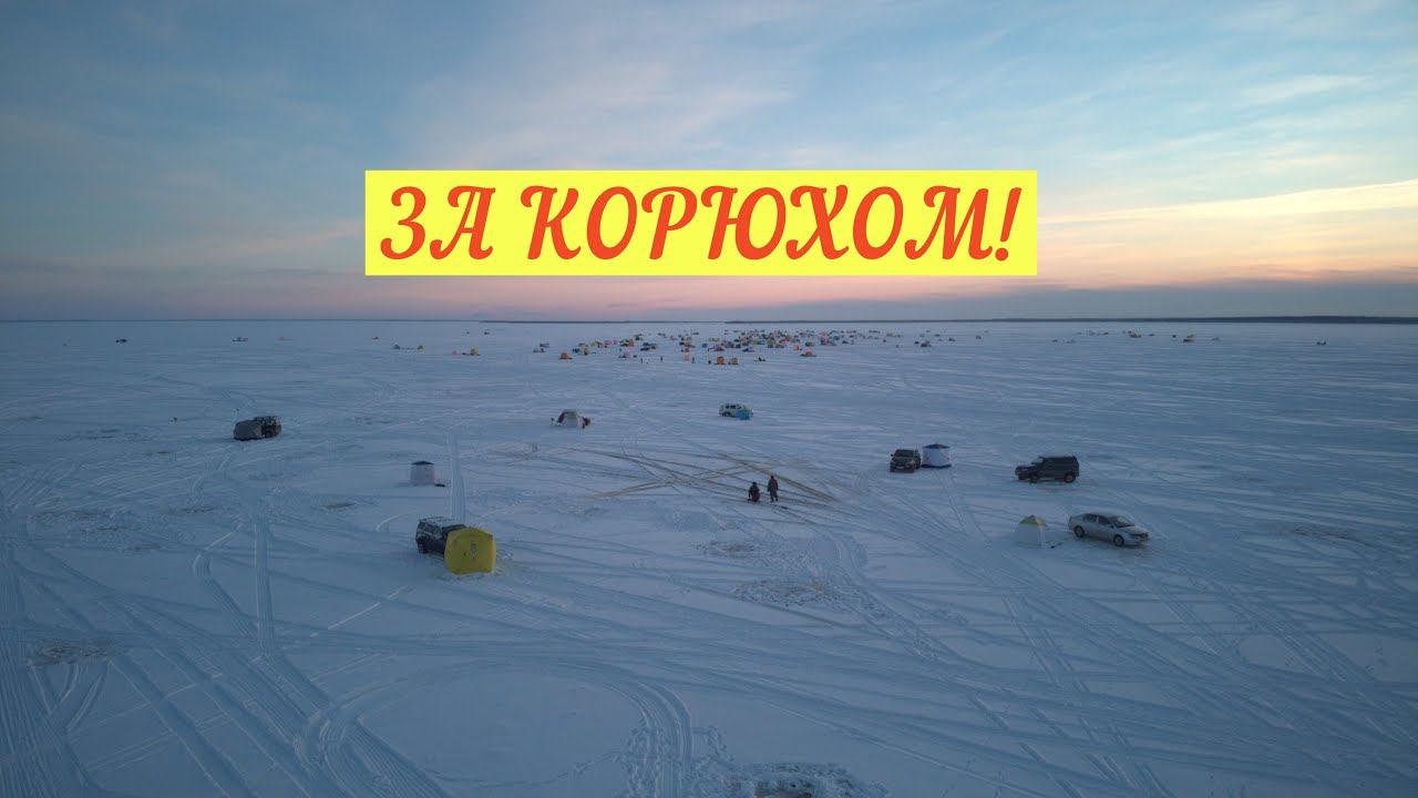 ЗУБАРЬ ЛЮТУЕТ/ЛОВИМ КОРЮХУ/БЕЛОЕ МОРЕ смотреть онлайн