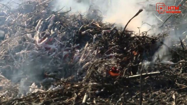 Введение на территории Мордовии противопожарного режима. смотреть онлайн