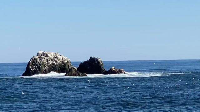 Петропавловск- мыс Шипунский.   Морское путешествие на НИС 