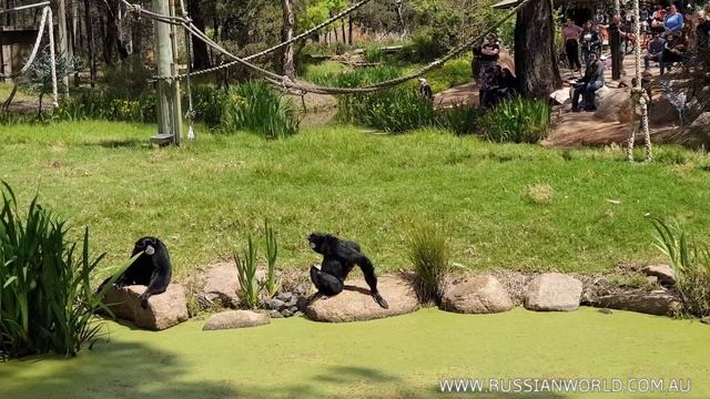 Путешествие с палаткой в центр штата NSW и вдоль восточного побережья - Октябрь 2020 смотреть онлайн