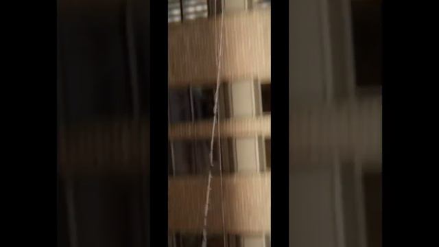 Spiderman Lotus || My Favorite Superhero 💕New Spiderman 🦇 смотреть онлайн