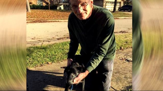 Старую собаку хозяин отдал в приют, но она не могла понять, за что... смотреть онлайн