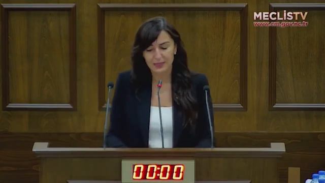 Girne Milletvekilimiz Jale Refik Rogers, "Başbakan Yardımcılığı, Turizm ve Çevre Bakanlığı Bütçesi" смотреть онлайн