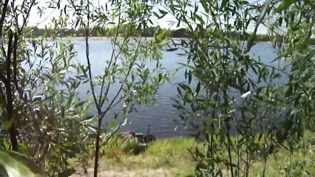 Летняя рыбалка с моторной лодки. Непонятная рыба. смотреть онлайн