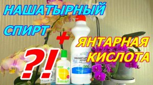 Янтарная кислота и Нашатырный спирт для Орхидеи  Почему НЕ применяю, и НЕ Использую НИКОГДА ?!!