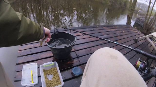 Ход Плотвы на Реке Сула 2023 смотреть онлайн