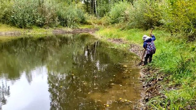 Почистил ПРУД на участке, а там ЗОЛОТЫЕ КАРАСИ ! #51 смотреть онлайн