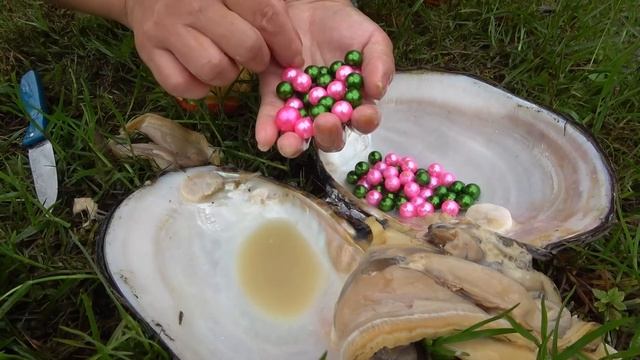 A beautiful woman met a pearl clam mountain, opened them, and pearls piled up into a mountain смотреть онлайн