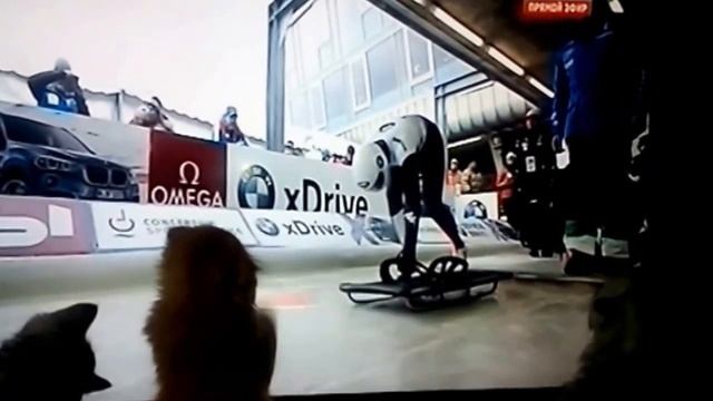 Шотландцы и хайленды смотреть онлайн