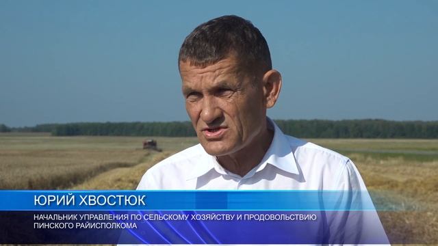 Урожай – 2022. Ход уборки зерновых в поле зрения председателя Пинского райисполкома Игоря Брилевича