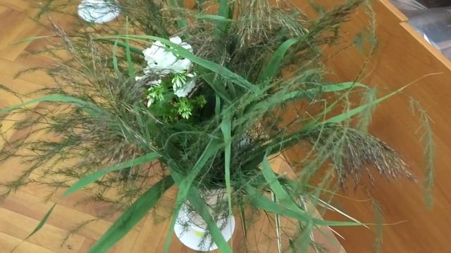 S1020010 смотреть онлайн