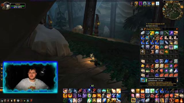 Взят 71 уровень! | World of Warcraft®: Wrath of the Lich King® Classic смотреть онлайн
