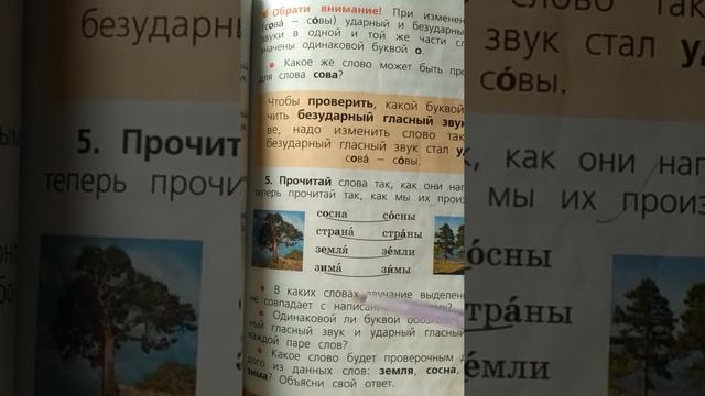Урок русского языка. Тема:правописание гласных в ударных и безударных слогах. смотреть онлайн