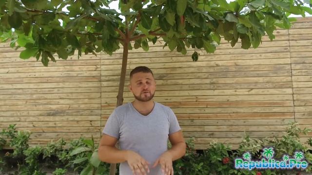 Какая погода в ноябре в Доминикане? (доминикана. доминикана2017. доминикана цены. доминикана видео) смотреть онлайн