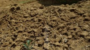 Строим мост через ручей!