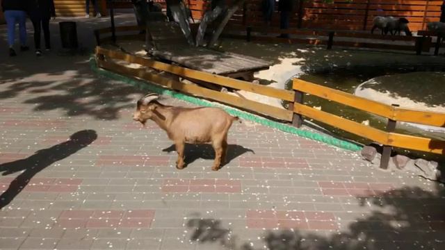 Это слайд шоу про то, что я прожила за этот год смотреть онлайн