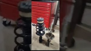 Проставки 25 мм на передние стойки