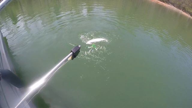 Pulling the umbrella rig on Norris lake in TN for monster striped bass смотреть онлайн