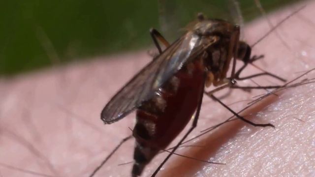 Топ интересных фактов о мире