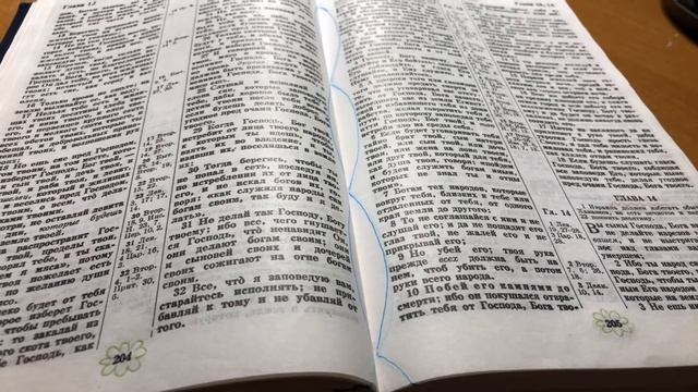 55. Чтение Библии по плану. Второзаконие 12-15. смотреть онлайн