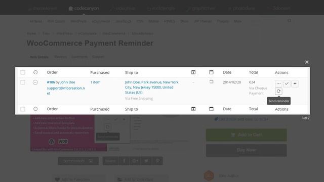 WooCommerce Payment Reminder смотреть онлайн