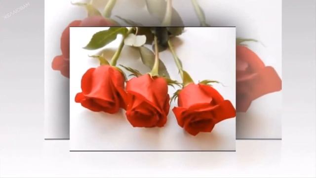 Красивое и яркое поздравление С Днём Рождения?! смотреть онлайн