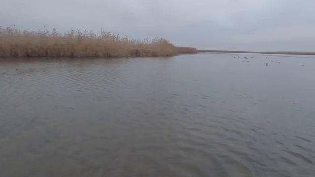 Одиночный выезд, на охоту по гусю, на раскаты Каспийского моря. Добыл только утку! смотреть онлайн