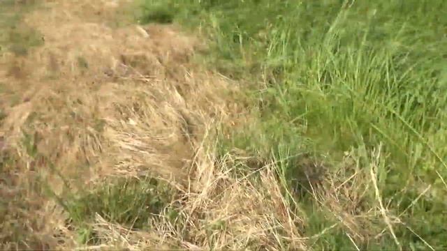 Сенокос по сибирский. 2 часть. т-25 сломался. смотреть онлайн