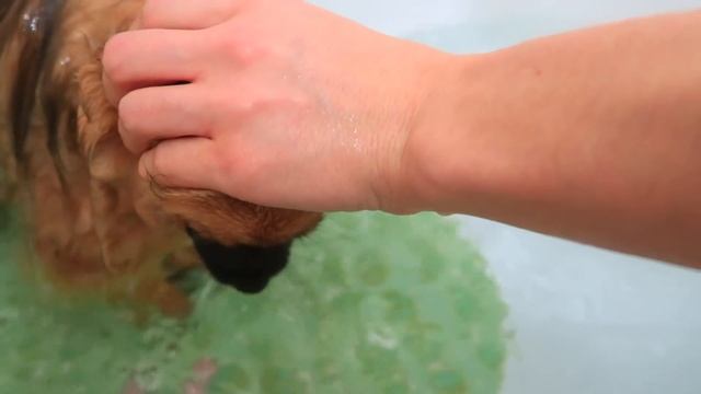 ДЕНЬ 8 / Почему КСЮША не снимает Шапку??/ Купаем БОННИ смотреть онлайн