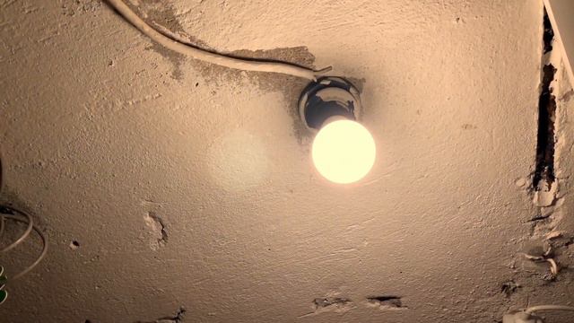 «В моих лапах и в твоих руках», Ракшина Анита, г. Санкт-Петербург, 552537 смотреть онлайн