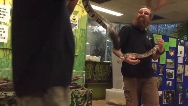 ?Animal Planet Планета животных Пауки Многоножки Змеи Скорпионы Жабы... смотреть онлайн