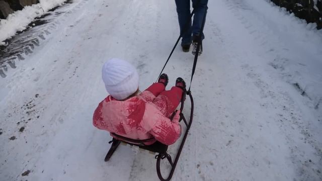 VLOG Мы купили ёлку смотреть онлайн