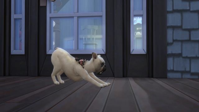 The Sims 4 Кошки и собаки - Обзор дополнения | Интересные факты смотреть онлайн