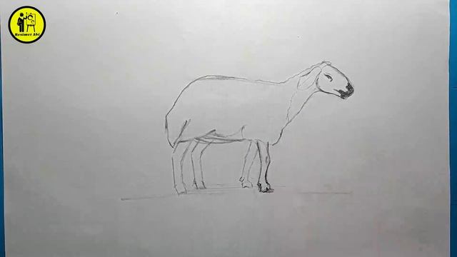 Koyun Çizimi / Adım Adım Karakalem Kolay Koyun Resmi Nasıl Çizilir? смотреть онлайн